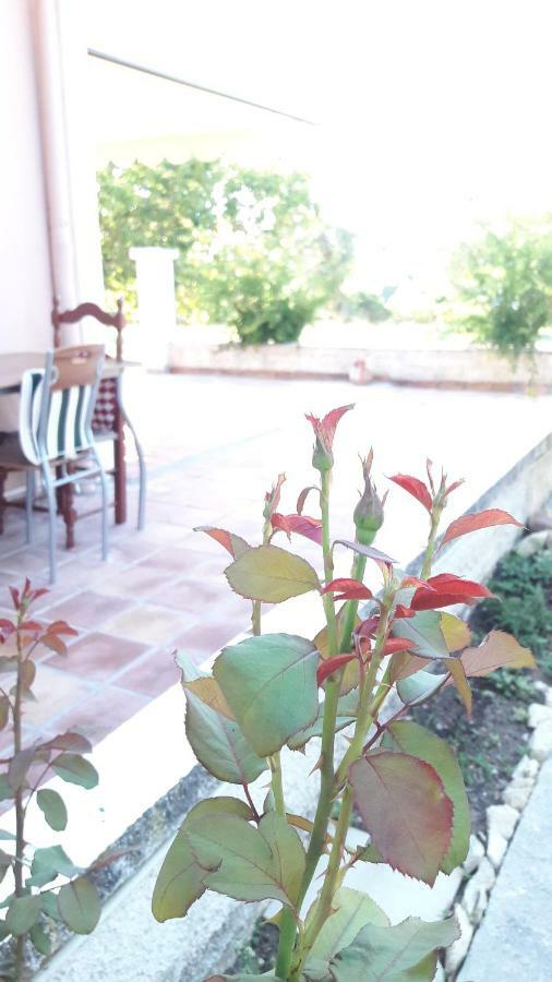 Country House Kefalonia Dhorizáta Exterior photo